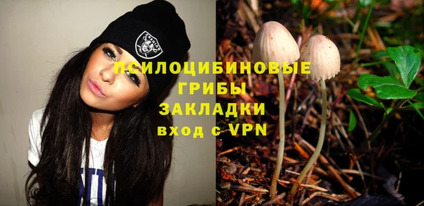соль ск Абаза